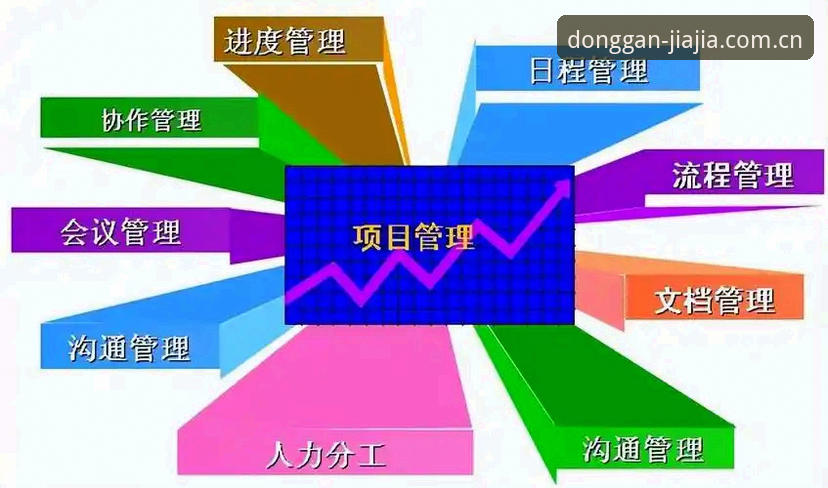 加加体育平台深度体验评测：v2.1.3安装全流程详解